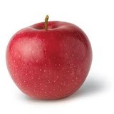 Diehls Orchard & Cider Mills - Other in Holly