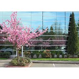 Arbor Scape - Tree Services in Grand Rapids