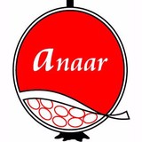 Anaar CO - Business Consulting in Bloomfield Hills