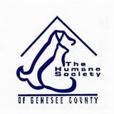 Humane Society-Genesee County - Other in Burton