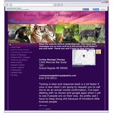 Curtisy Massage Therapy - Massage Therapy in Grand Rapids