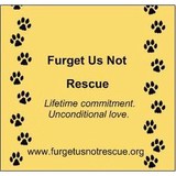 Furget Us Not Rescue - Other in Hazel Park
