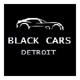 Metro Airport Taxi Cab & Sedan Service DTW - Airport Services in Detroit