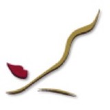 Craig P Goldin Dds Pc - Dentists in Troy