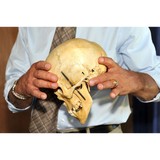 Denton Keith E DC - Chiropractors in Monroe