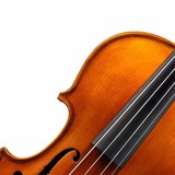 Phillips' Family Fiddlers Inc - Other in Grand Haven