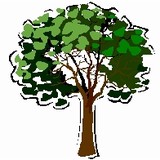 Hampshire Landscaping - Landscape Architects