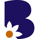 Bordine's Better Blooms - Florists in Rochester Hills