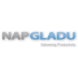 Nap Tools LLC - Other in Three Rivers