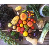 Groundswell Community Farm - Other in Zeeland