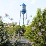 Opera House Grand Ledge - Other in Grand Ledge