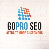 Go Pro SEO - Web Design & Development in Troy