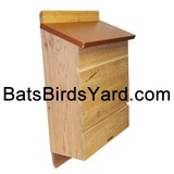 BatsBirdsYard.com - Other in Holly