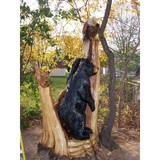 Chainsaw Artist Scott Kuefler - Other in New Baltimore