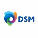 Dsm Engineering Plastics Inc - Manufacturer in Birmingham