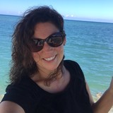 Trips Ahoy - Travel Agents in Portage