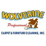 Area Rug Cleaning CO - Carpet Cleaning in Ann Arbor