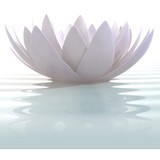 Awakening Health LLC - Counseling & Mental Health in Rochester Hills