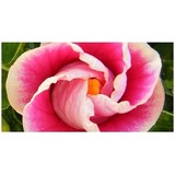 Ponds & Beyond Landscape Services - Landscape Architects in Rochester Hills