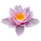 Howell-Brighton Dermatology - Doctors in Brighton