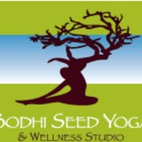 Bodhi Seed Yoga Center - Other in Mount Clemens