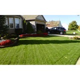 Turf Pro Inc - Tree Services in Ann Arbor