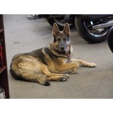 Sleeping Bear Motor Sports - Other in Interlochen