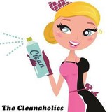 The Cleanaholics - Other in Westland