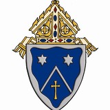 Catholic Human Service - Other in Roscommon