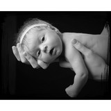 Diane Sumner Photography - Other in Allegan