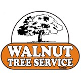 WALNUT TREE SERVICE - Tree Services in Pontiac