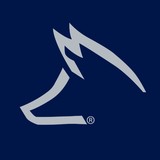 Fox Motor Group LLC - Car Dealers in Grand Rapids
