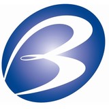 Bloomingdale Communicatons - Other in Paw Paw