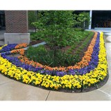 Summit Tree Service, Inc - Other in Grandville