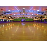 Riverside Arena - Other in Livonia