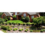 S & B Landscaping - Landscaping in Oak Park