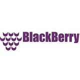 Blackberry Window & Door Systems - Other in Kalamazoo