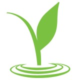 Picasso Cafe Inc - Restaurants in Ann Arbor