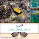 Auburn Family Eyecare - Optometrists in Auburn Hills