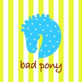 Badpony Com - Other in Lake Leelanau
