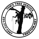 Toms Tree Service - Tree Services in Muskegon