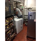 Dynamic Drain Service - Other in Port Huron