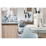Gole Daniel R DDS - Dentists in Hastings