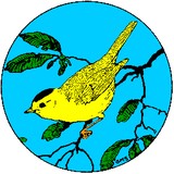 Wilson Ornithological Society - Other in Ann Arbor