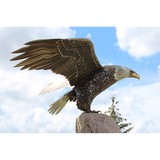 Creative Steel Work Inc - Other in Pequot Lakes