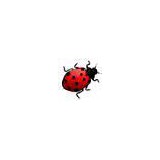 Bradley Exterminating - Pest Control in Lakeville