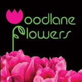 Woodlane Flowers - Florists in Saint Paul