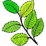 Pomeroy Natural Health Sltns - Other in Lake Elmo