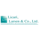 Larsen Terry C CPA - Accountants in Duluth