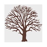 Above All Hardwood Floors - Carpet Store in Prior Lake